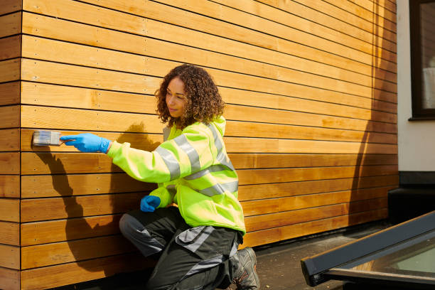 Best Custom Trim and Detailing for Siding  in Greenville, GA